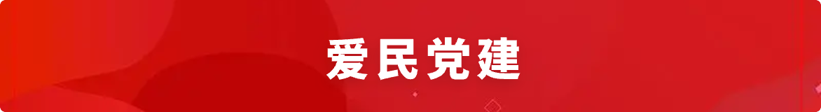 愛民黨建